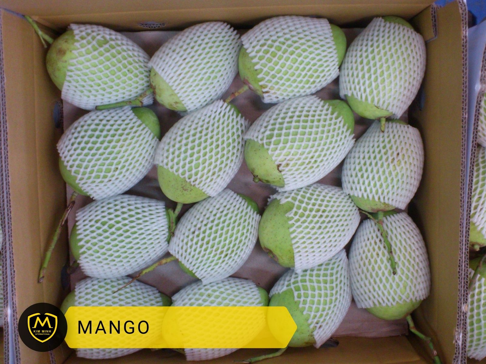 Packing & Loading Mango 02