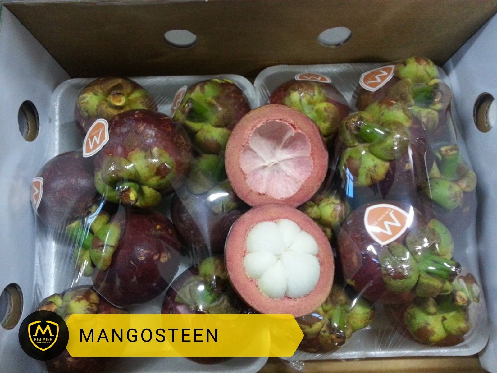 Packing & Loading Mangosteen 01