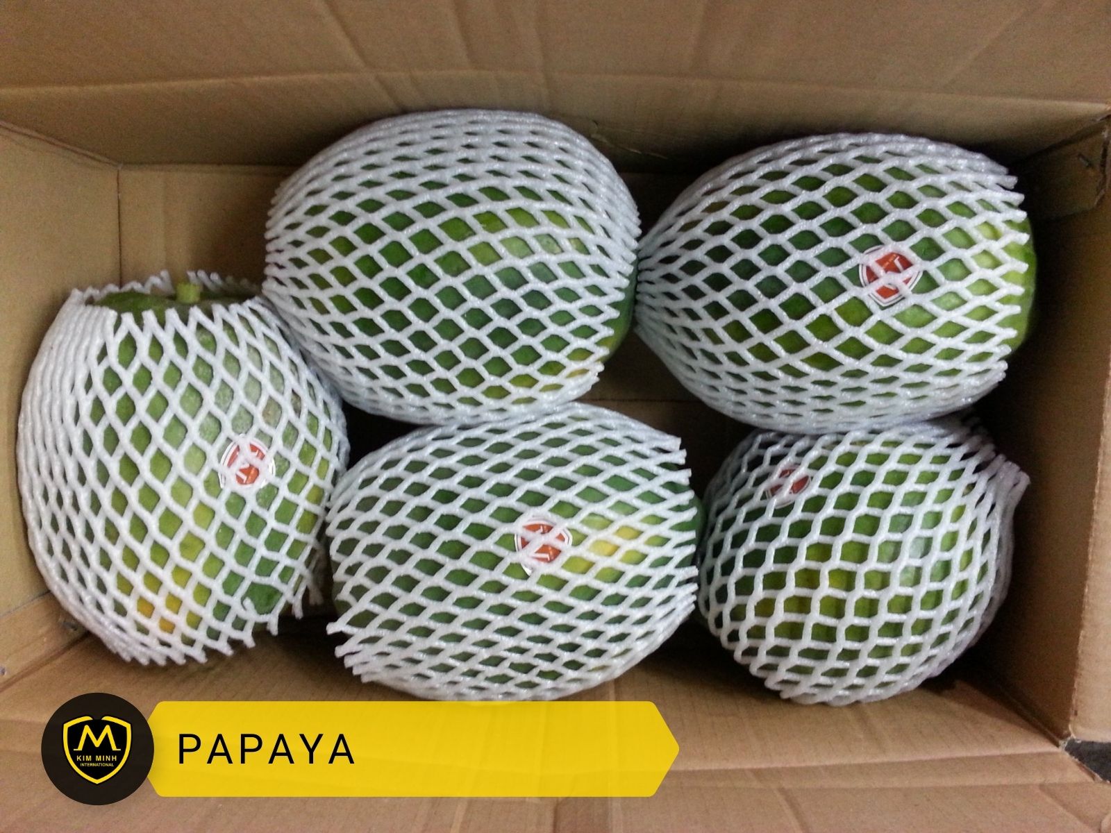 Packing & Loading Papaya 01
