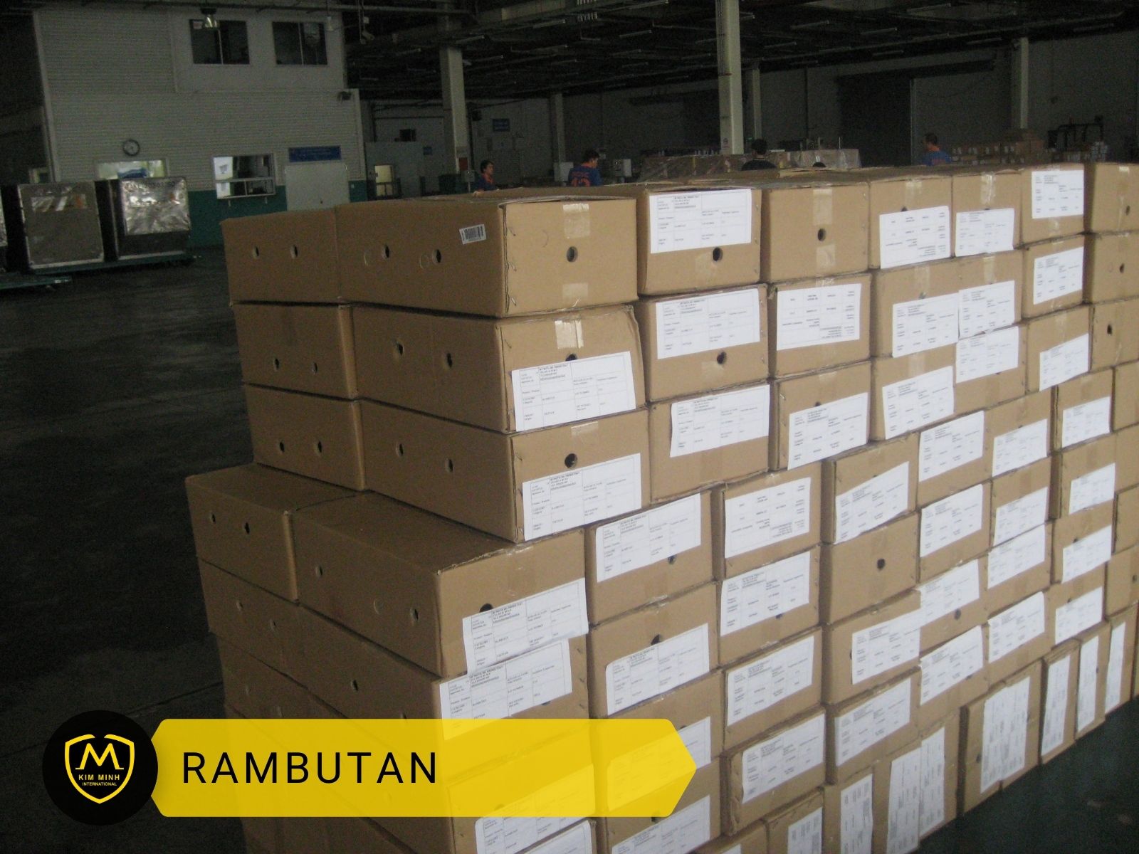 Packing & Loading Rambutan 03
