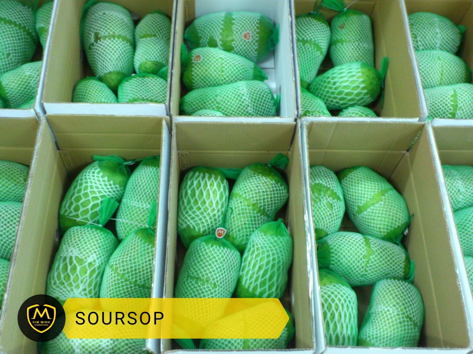 Packing & Loading Soursop 01