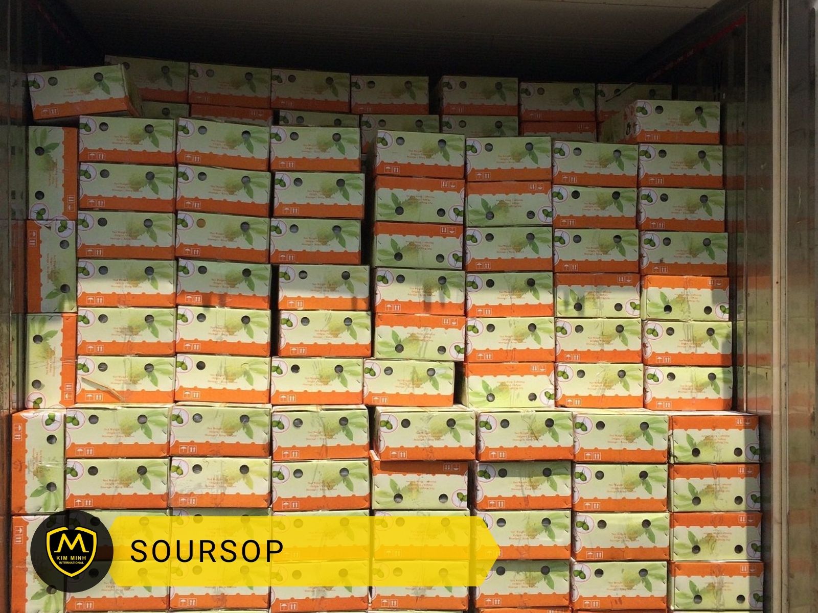 Packing & Loading Soursop 02