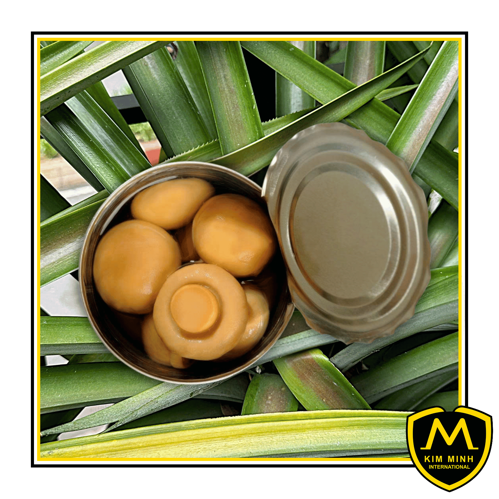 Canned Champignon Button Mushroom 00