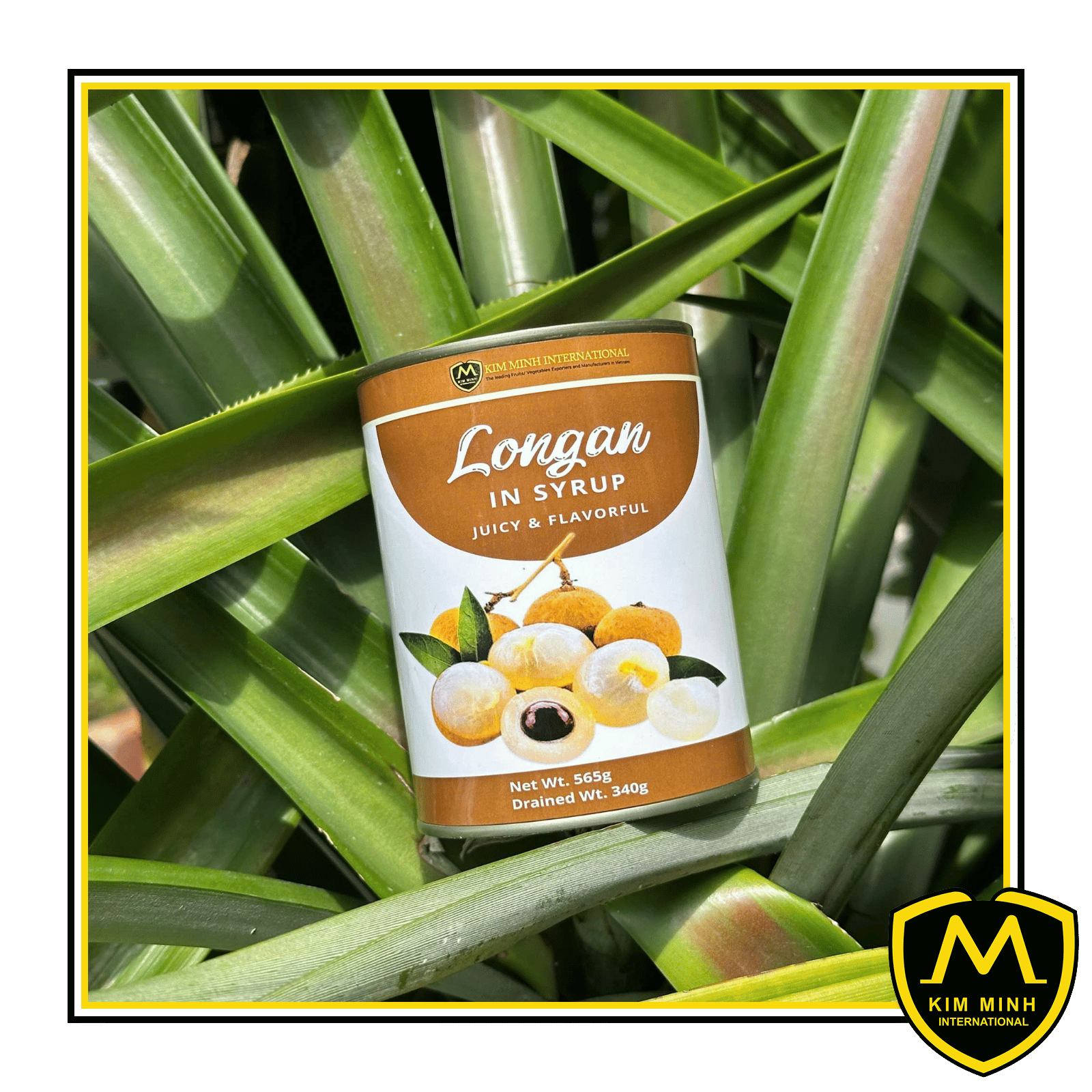 Canned Longan In Light Syrup 00