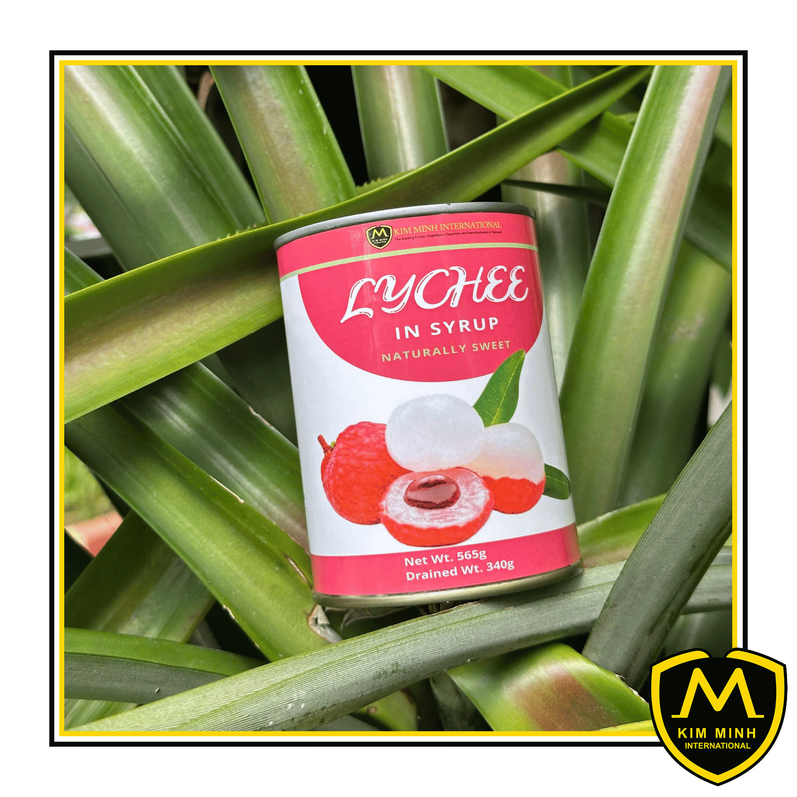 Canned Lychee In Syrup 00
