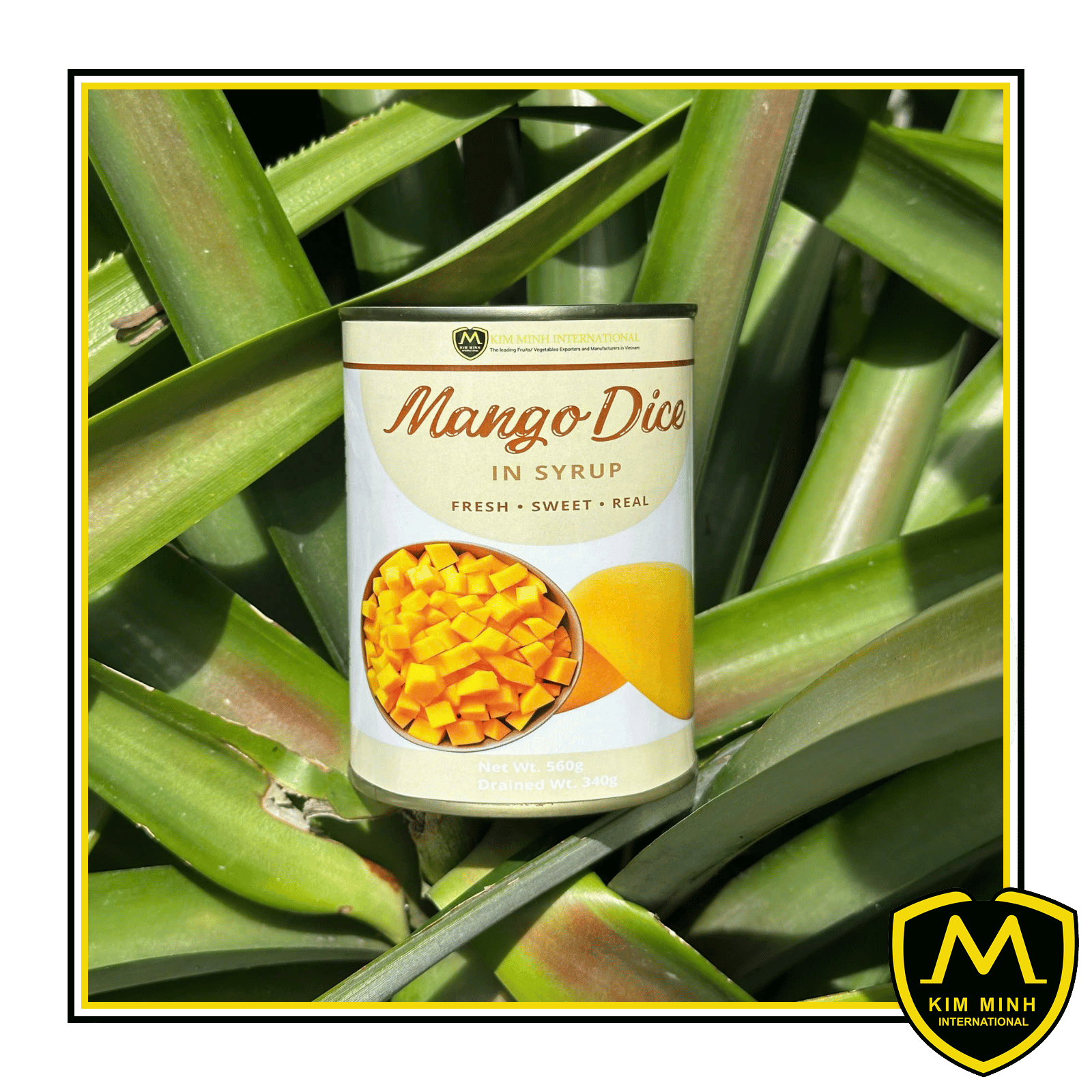 Canned Mango In Syrup 00