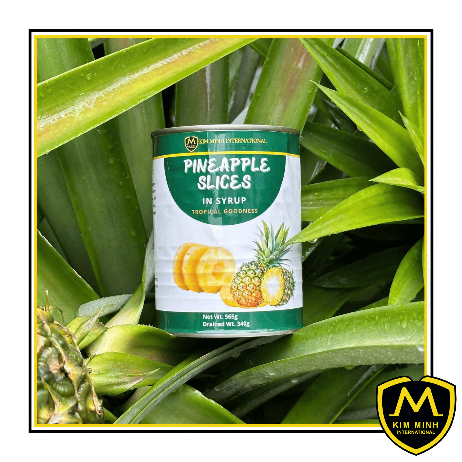 Canned Pineapple In Syrup 00