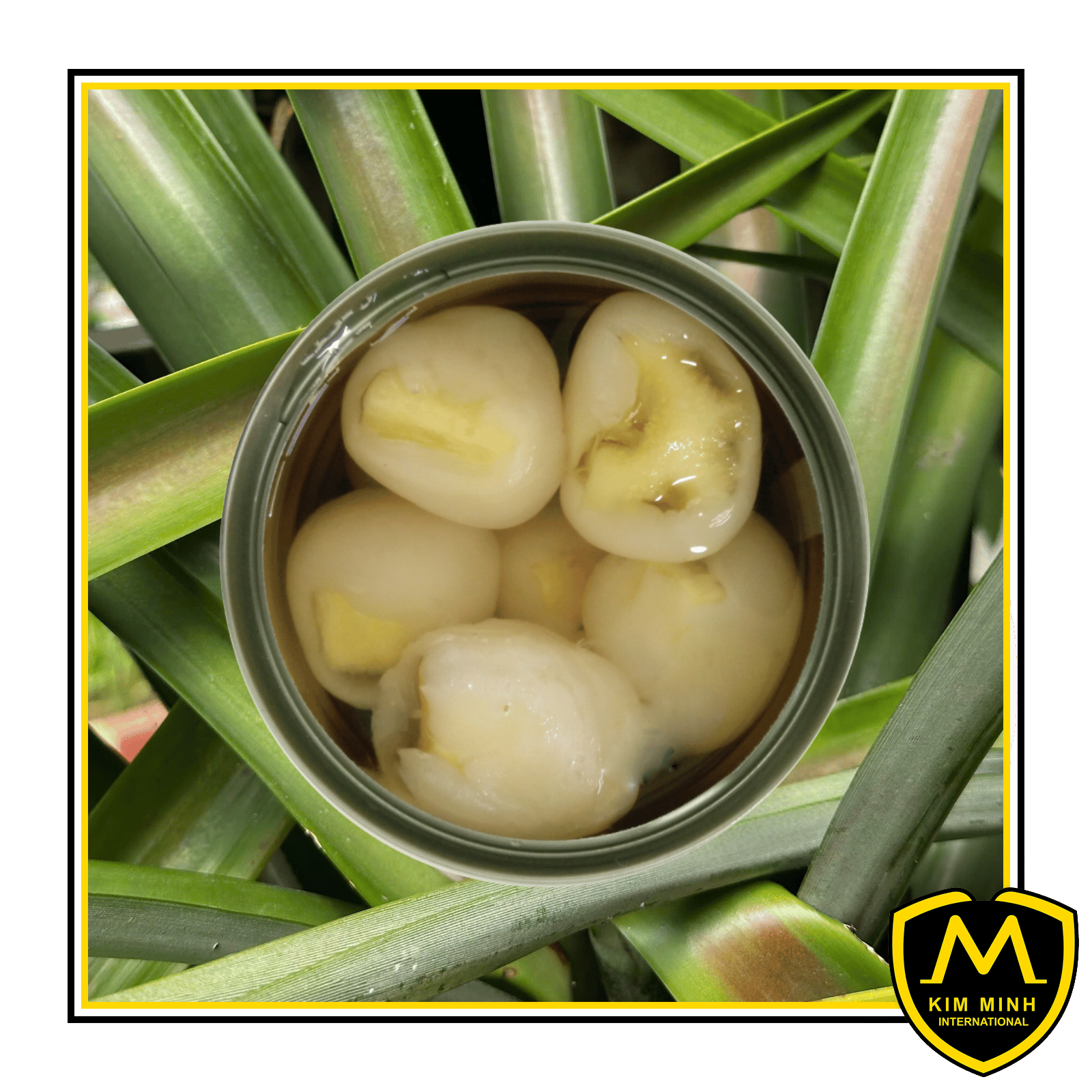 Canned Rambutan In Syrup 00