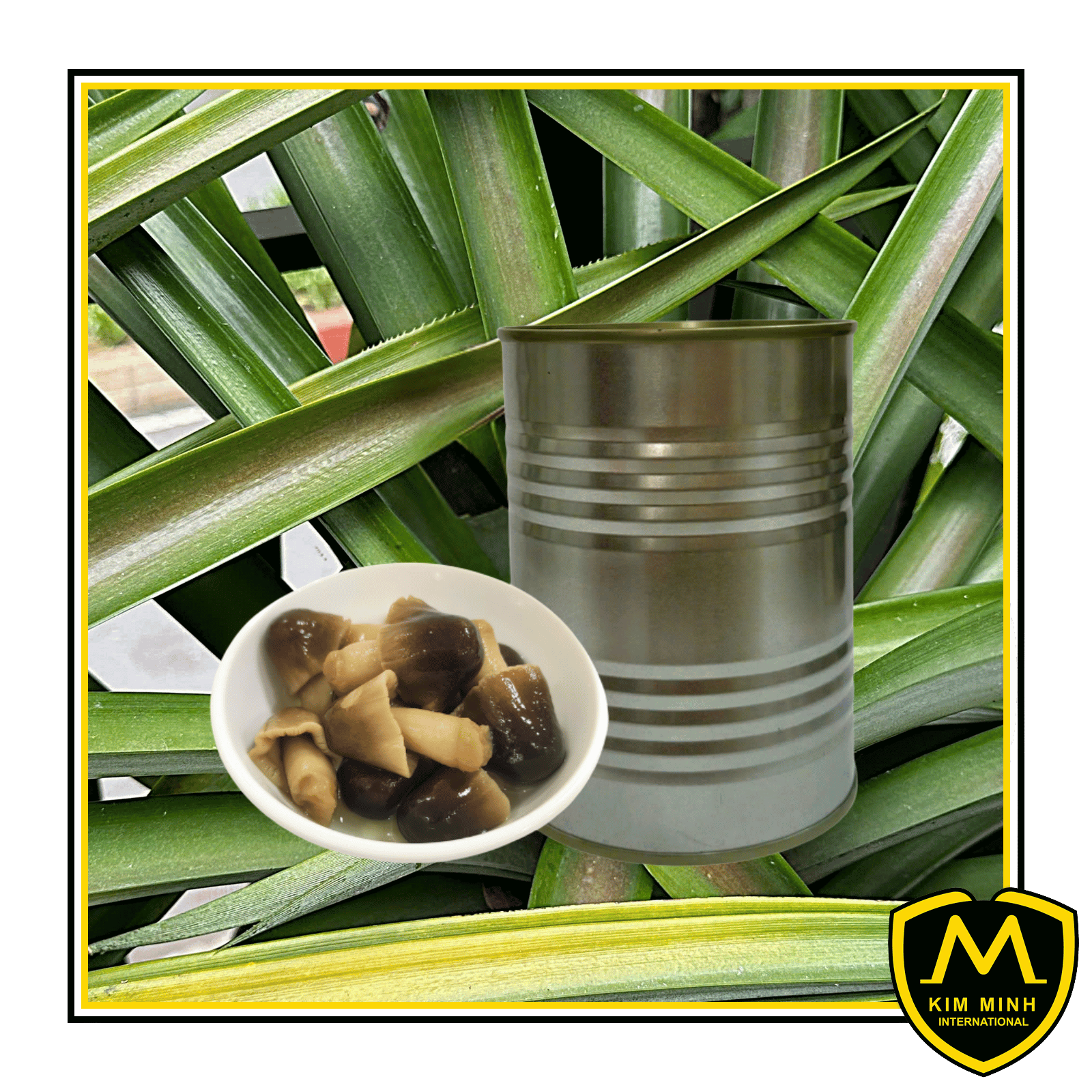 Canned Straw Mushroom 00