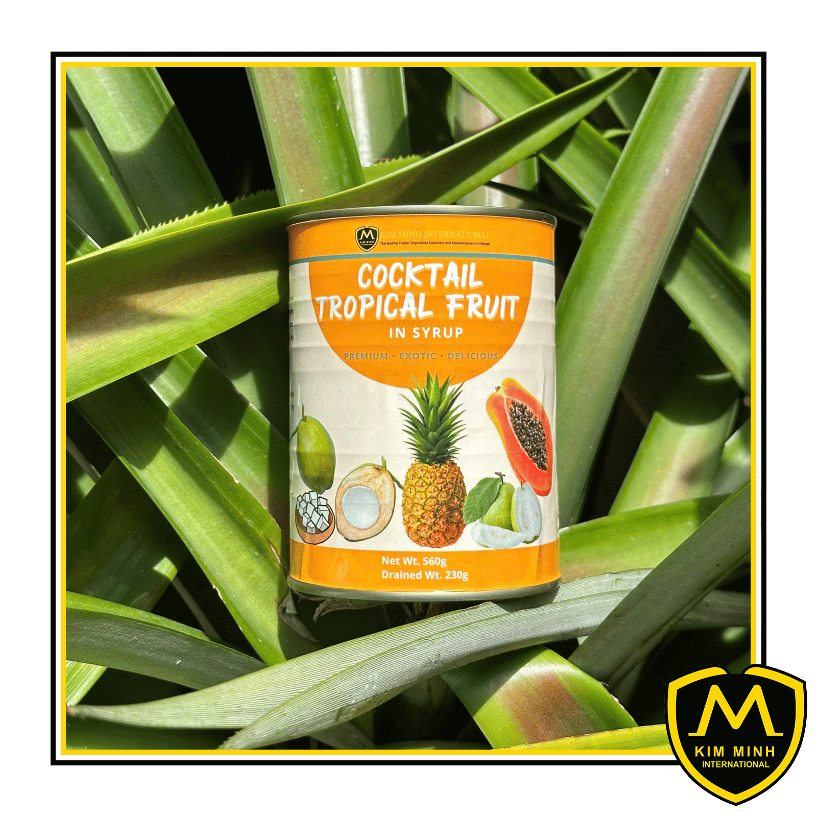 Canned Tropical Fruit Cocktail Mix 00