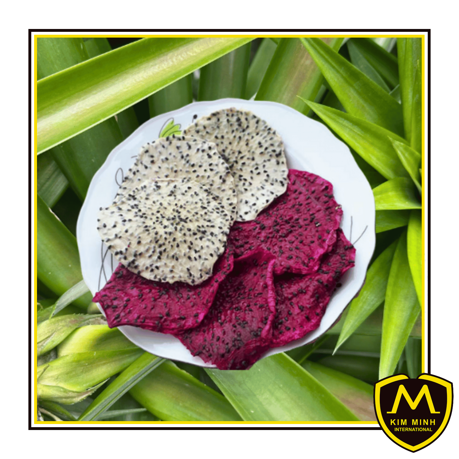 04 dried fruits Soft Dried Dragon Fruit