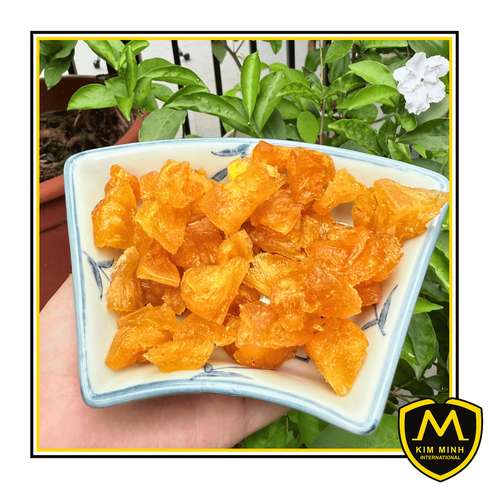 05 dried fruits Soft Dried Pineapple