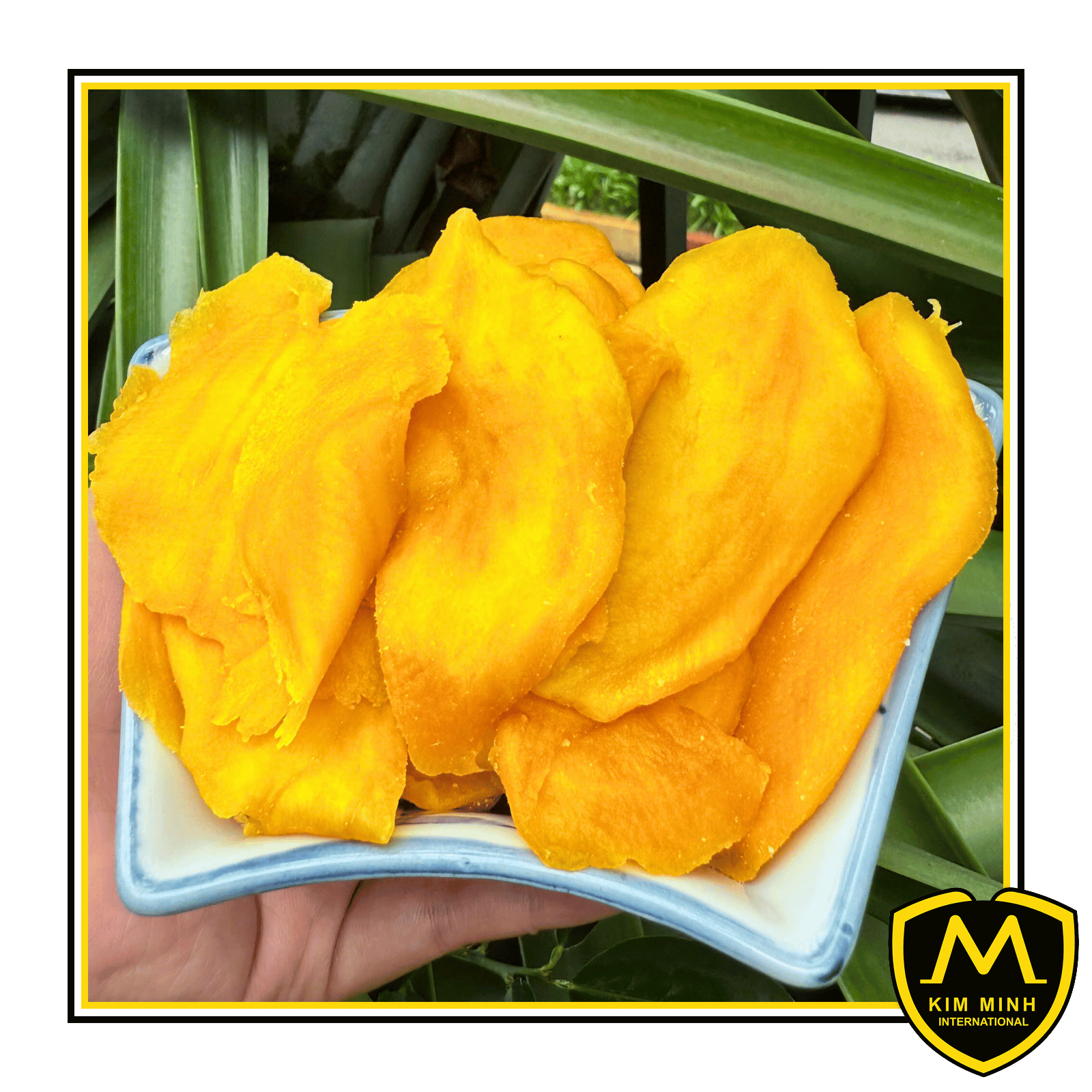 06 dried fruits Soft Dried Mango