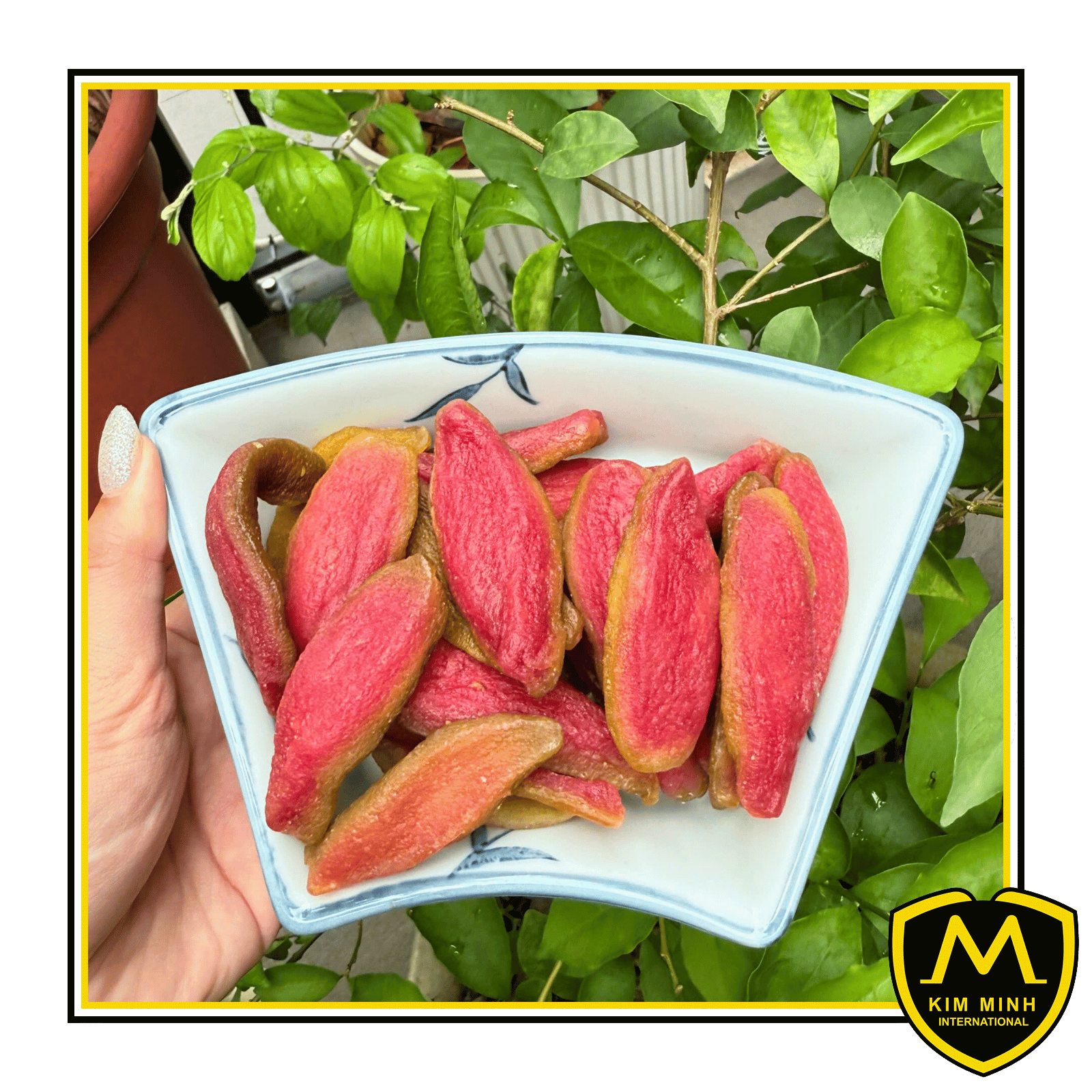15 dried fruits Soft Dried Guava