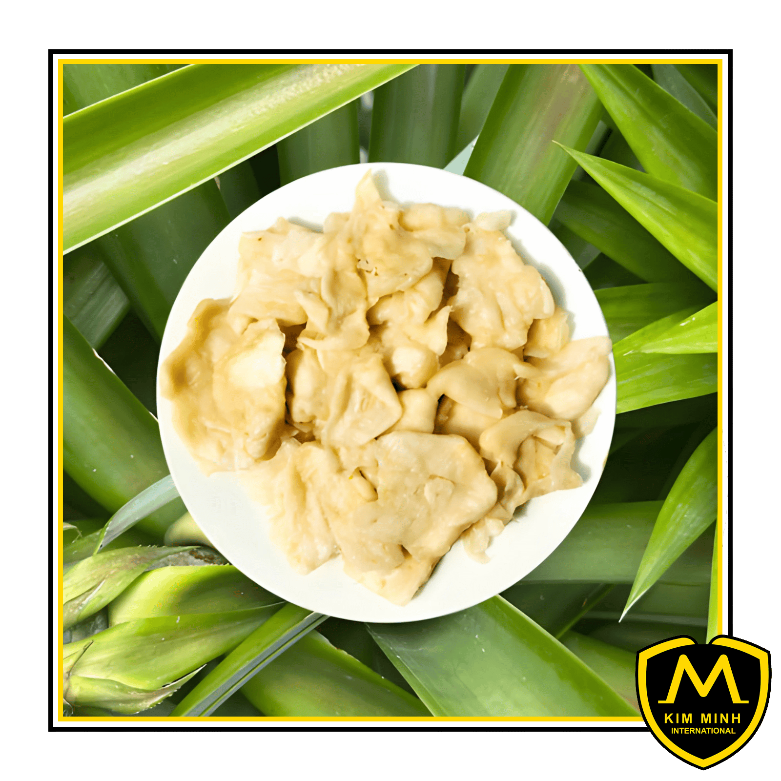 16 dried fruits Soft Dried Soursop