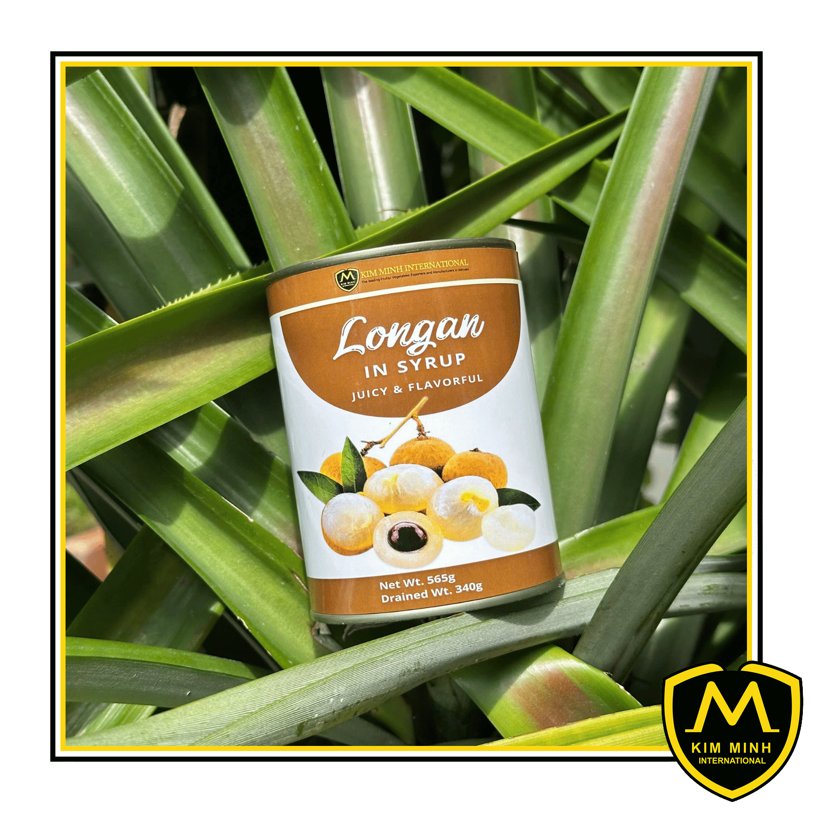 Canned Longan In Light Syrup 00